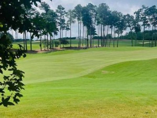 124 Hawks Court, Ball Ground, GA 30107