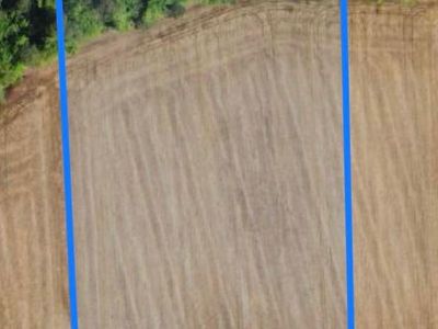 tbd Pinckney Rd., Nichols, SC 29581