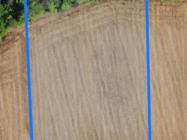 tbd Pinckney Rd., Nichols, SC 29581