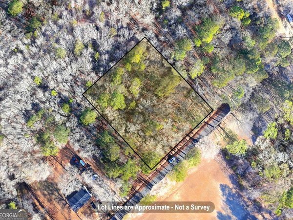 0 Byrd Hill Drive, Dudley, GA 31022