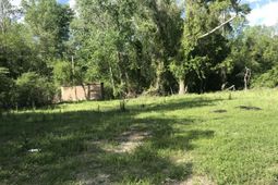 607 Miles-jamison Road  photo 4