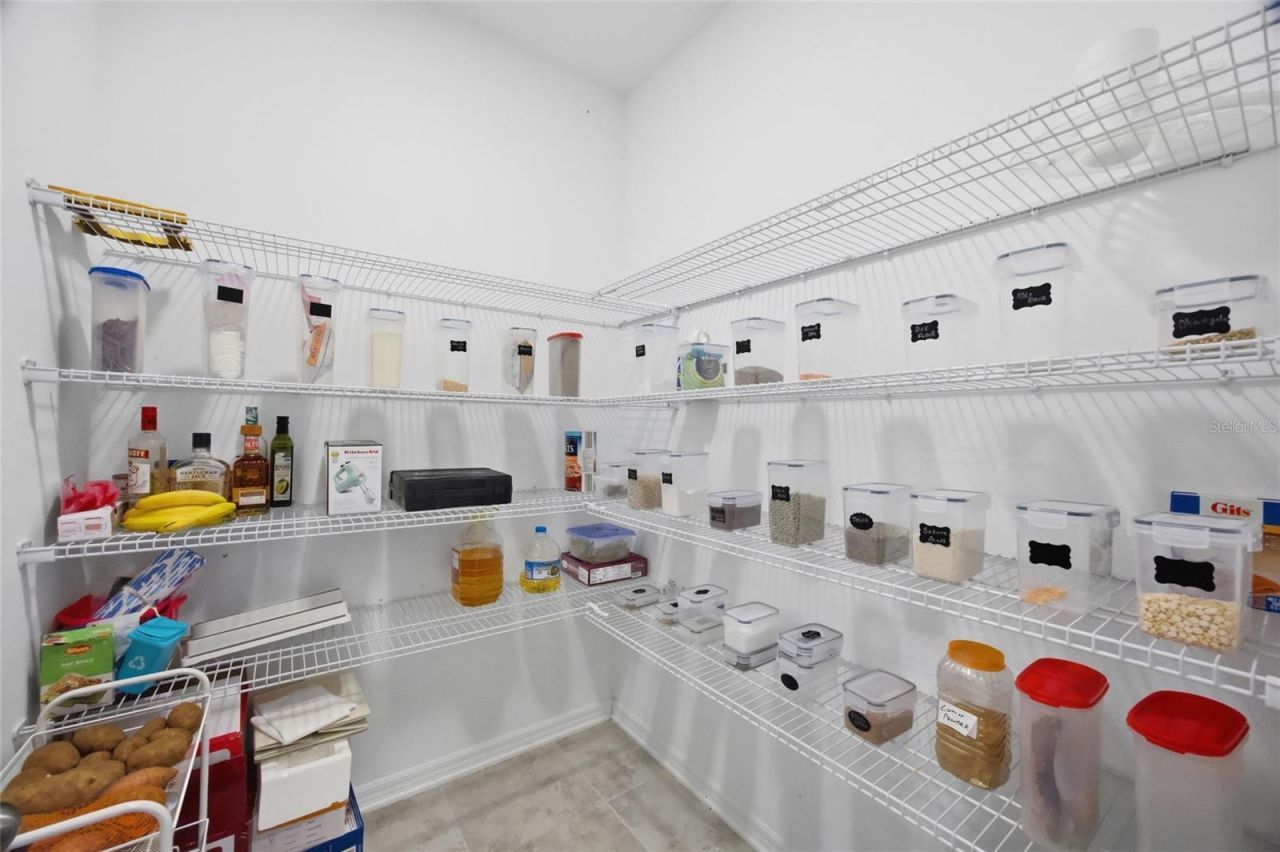 2909 Ivory Bluff Court, Zephyrhills, FL 33540 Photo