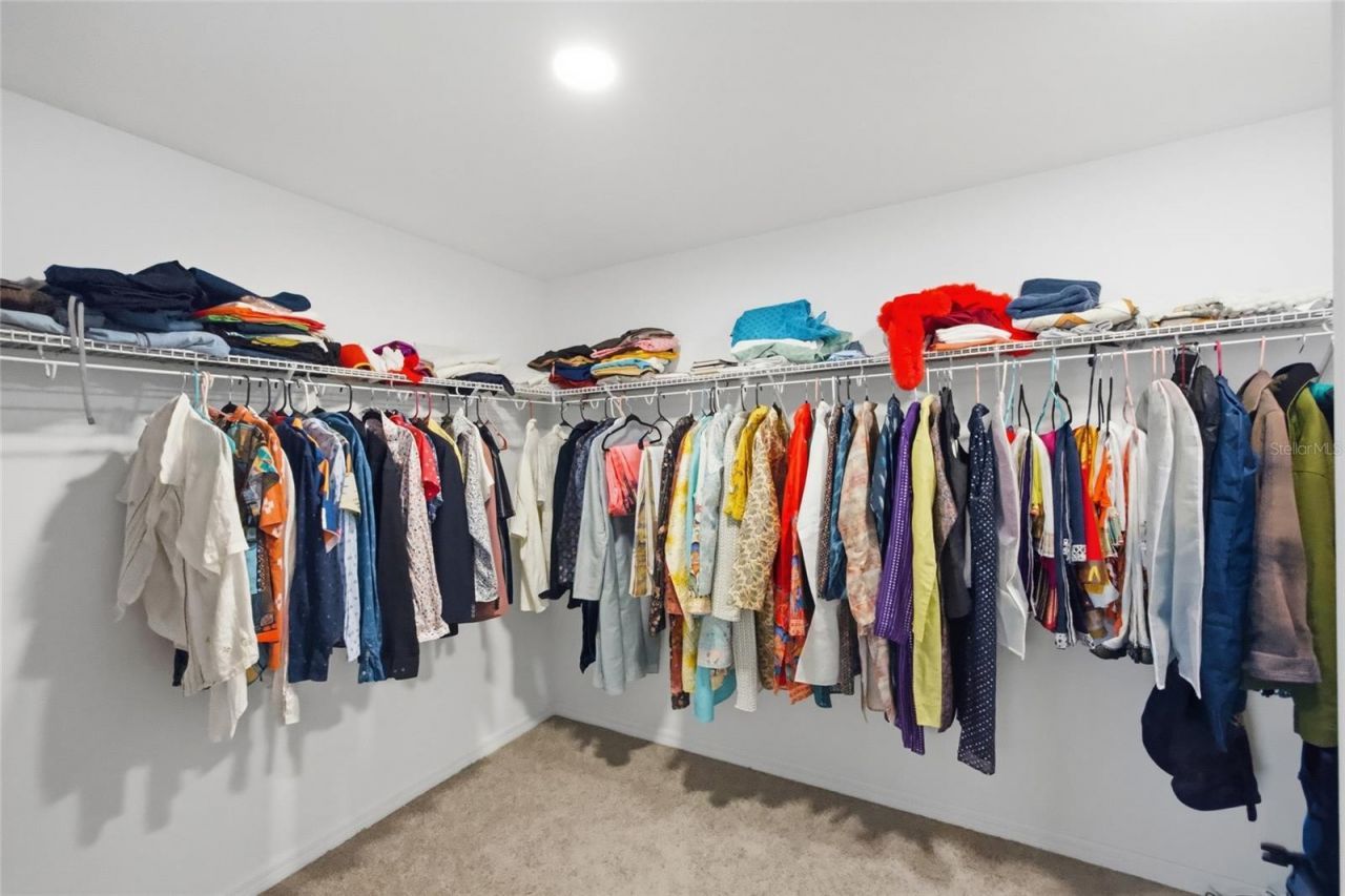 2909 Ivory Bluff Court, Zephyrhills, FL 33540 Photo