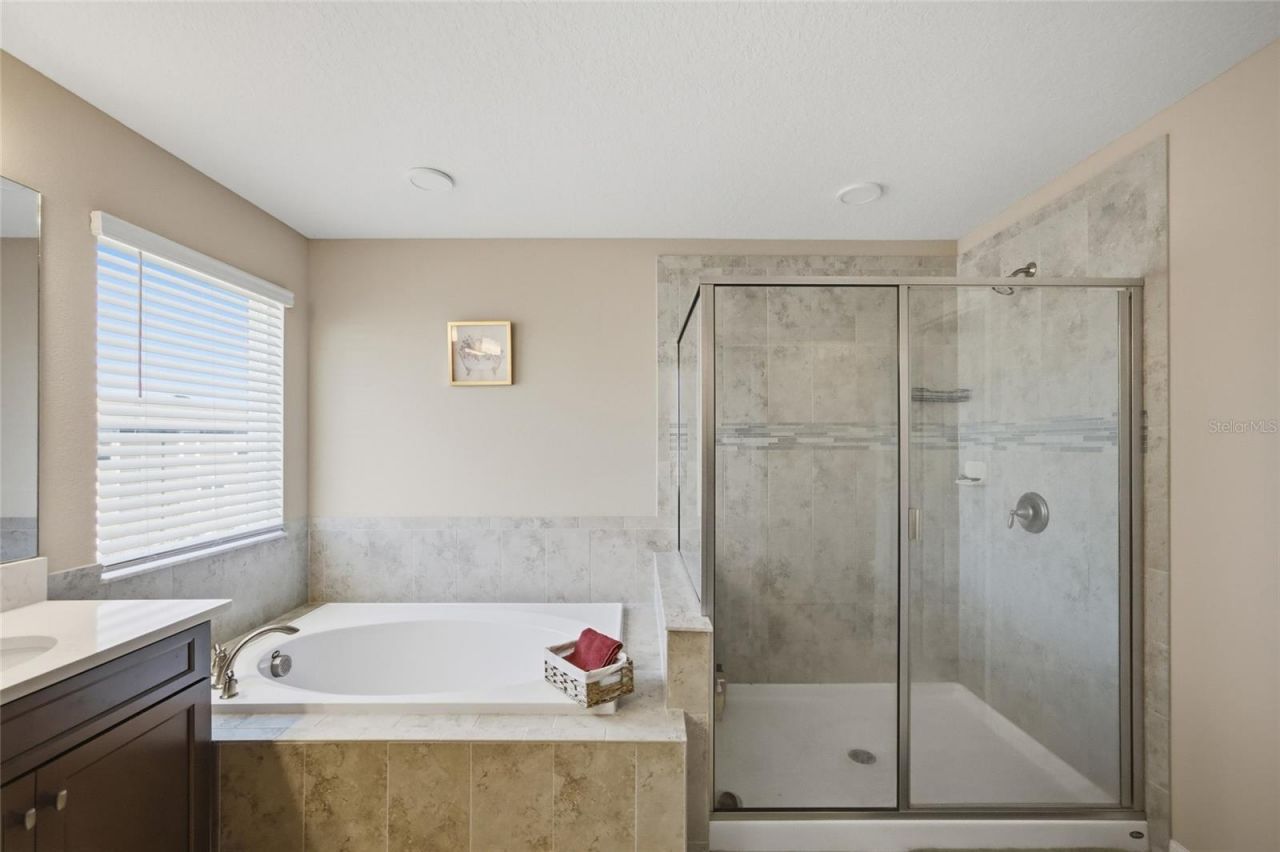 2909 Ivory Bluff Court, Zephyrhills, FL 33540 Photo