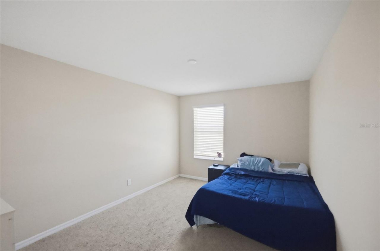 2909 Ivory Bluff Court, Zephyrhills, FL 33540 Photo