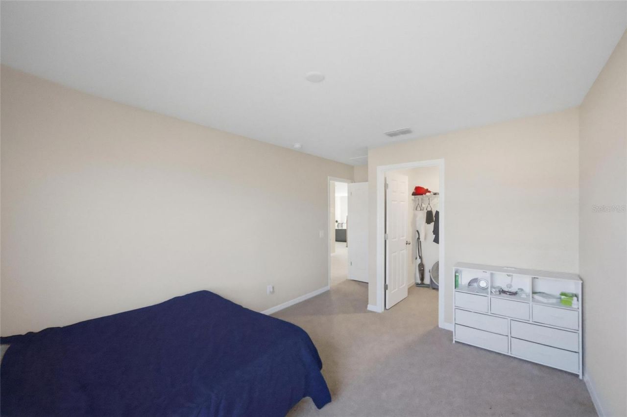 2909 Ivory Bluff Court, Zephyrhills, FL 33540 Photo