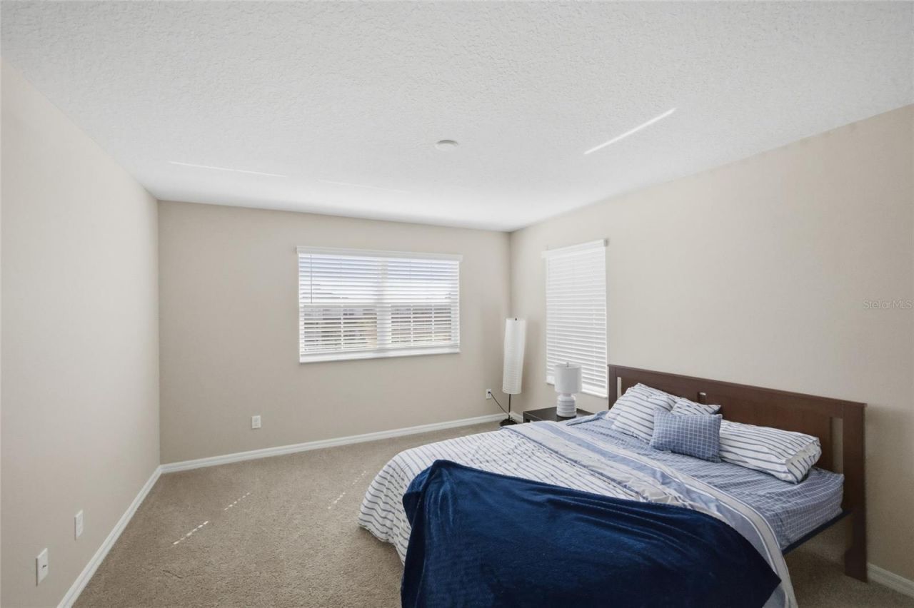 2909 Ivory Bluff Court, Zephyrhills, FL 33540 Photo