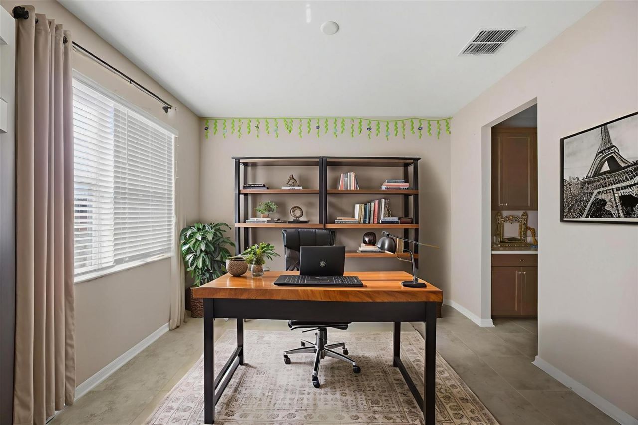 2909 Ivory Bluff Court, Zephyrhills, FL 33540 Photo