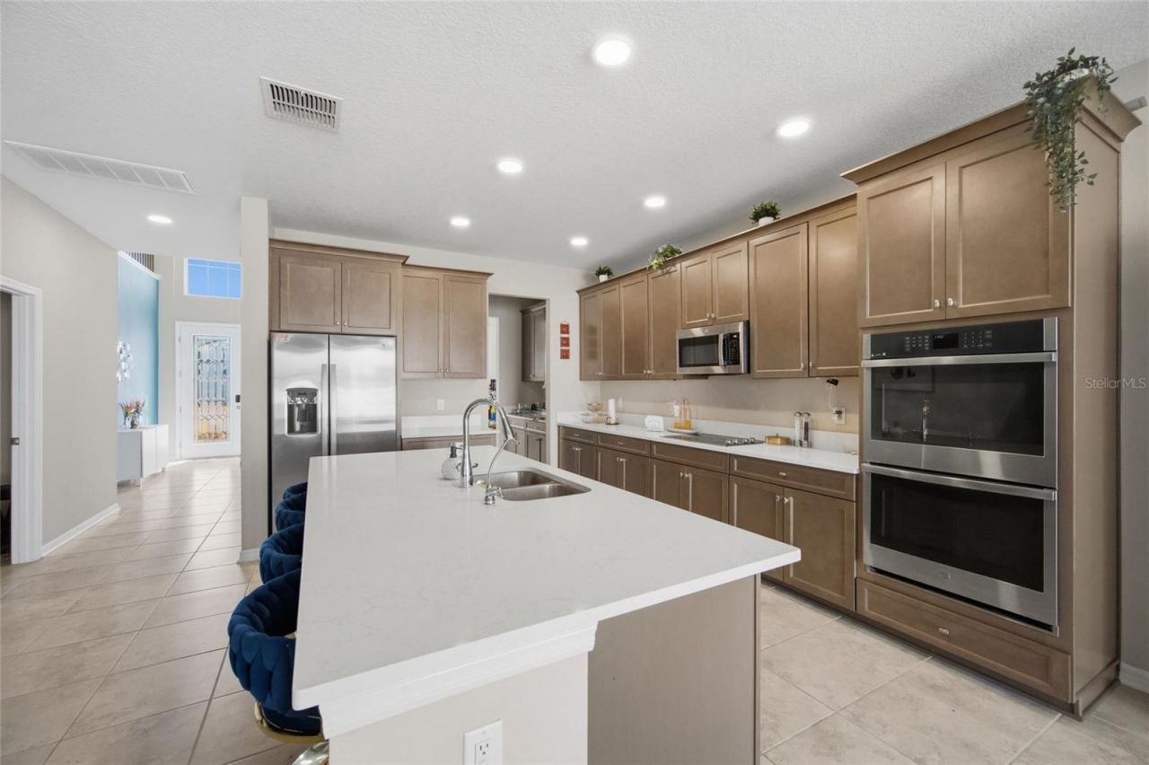 2909 Ivory Bluff Court, Zephyrhills, FL 33540 Photo