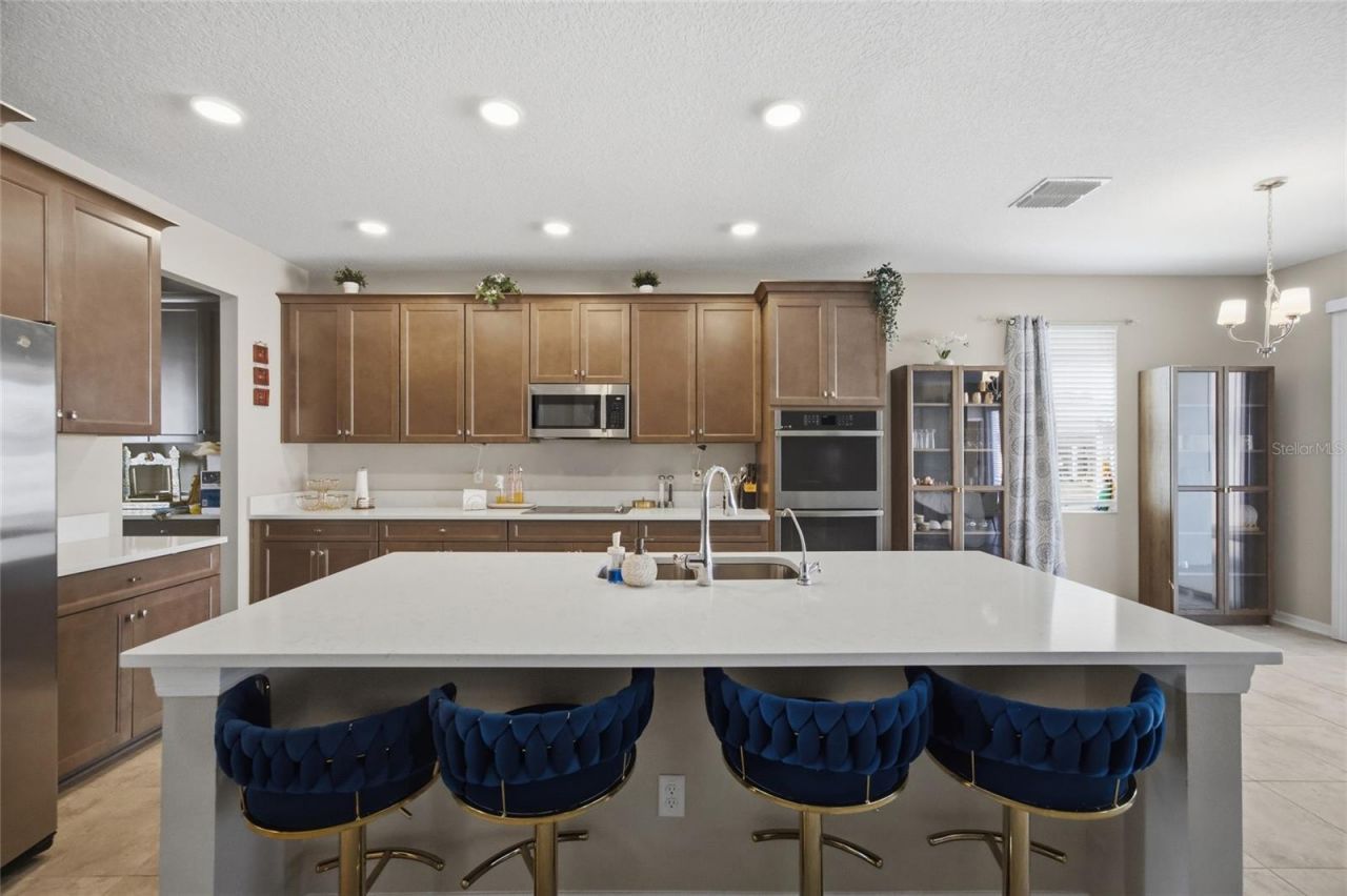 2909 Ivory Bluff Court, Zephyrhills, FL 33540 Photo