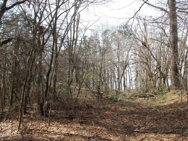 0 Laws Hill Road, Waterford, MS 38685