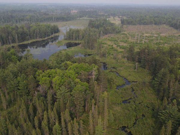 Parcel B Cherry Creek Trail, Grayling, MI 49738