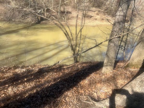 35 TOWBOAT LN, Adamsville, TN 38310