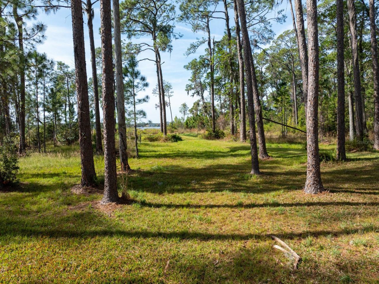 8822 Winter Garden Vineland Road, Orlando, FL 32836 Photo