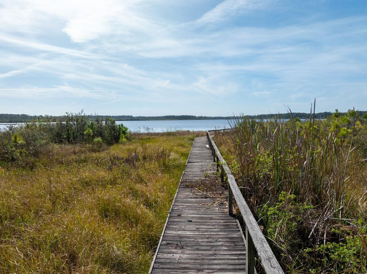 8822 Winter Garden Vineland Road, Orlando, FL 32836 Photo