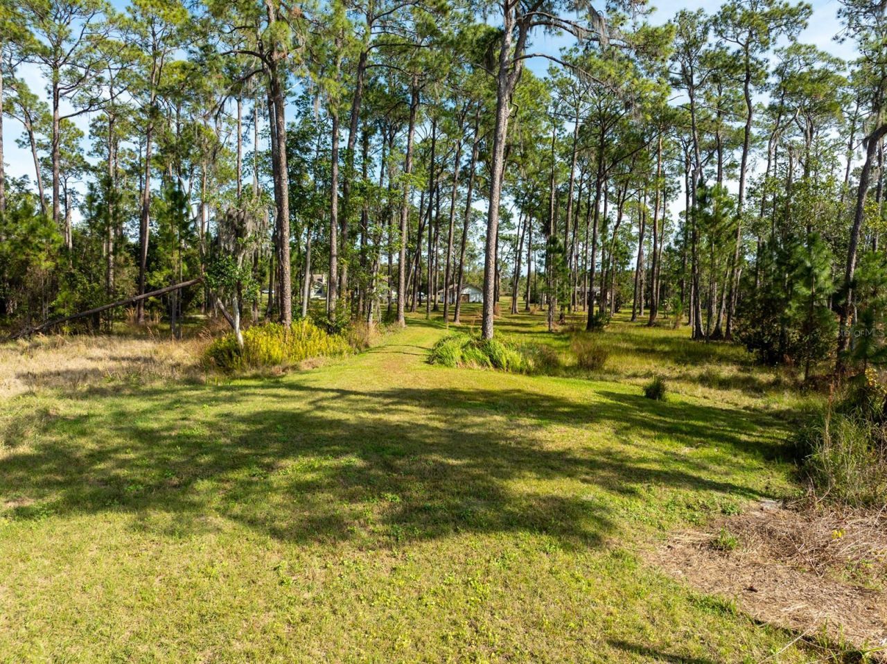 8822 Winter Garden Vineland Road, Orlando, FL 32836 Photo