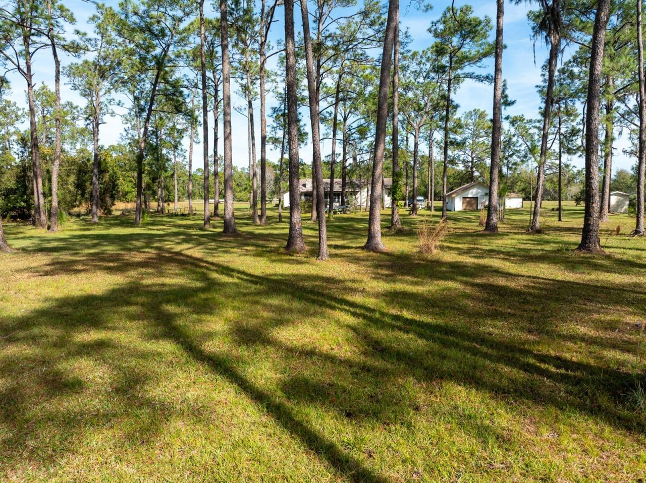 8822 Winter Garden Vineland Road, Orlando, FL 32836 Photo