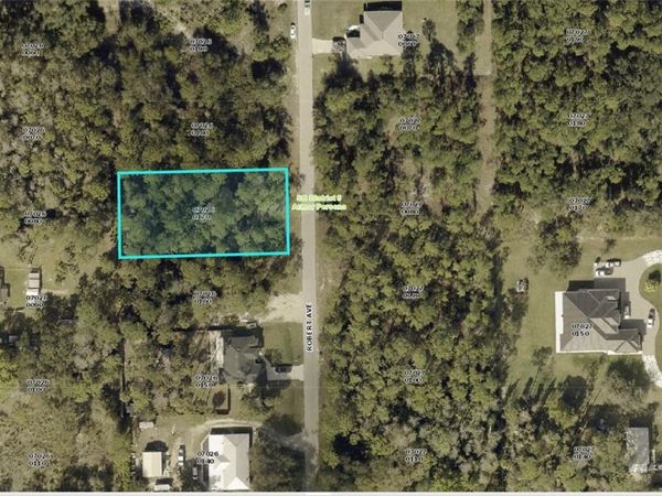2209 ROBERT AVENUE, ALVA, FL 33920