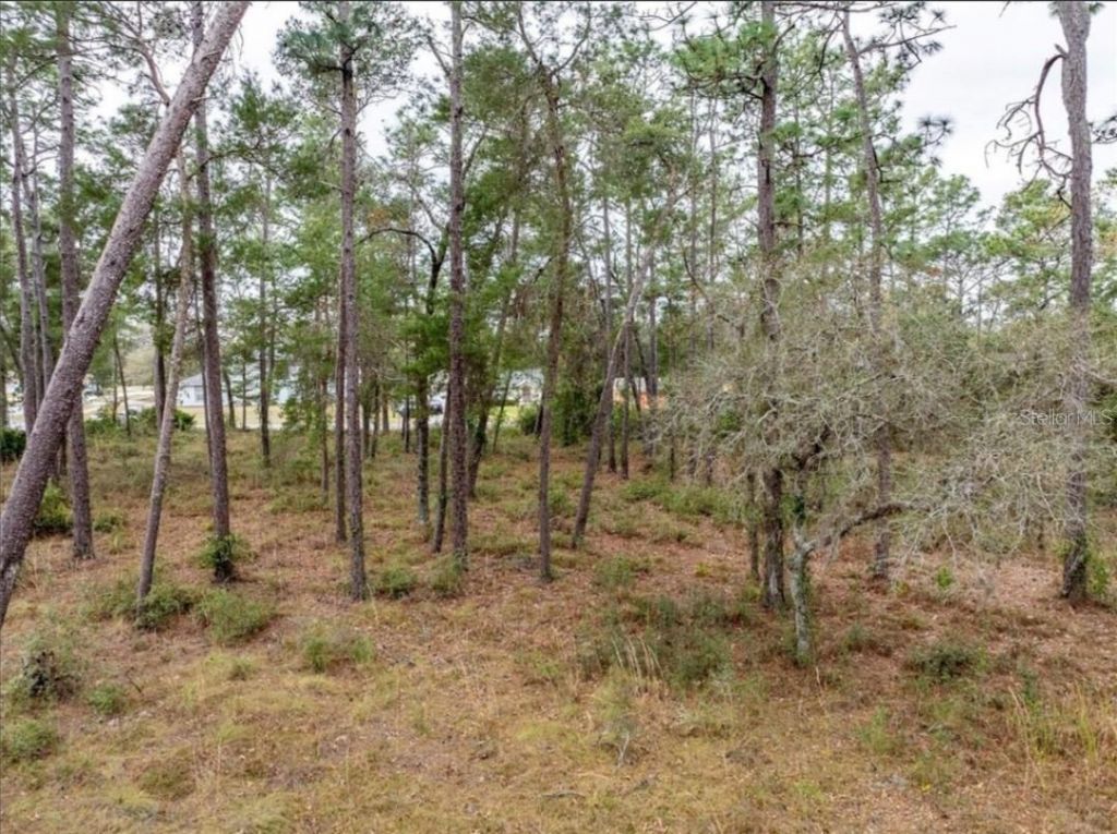 1370 Courtland Blvd, Deltona, FL 32738 Photo