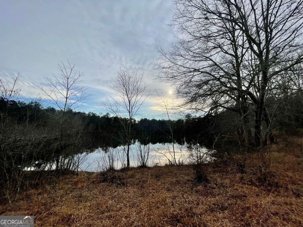 0 Padgett Road, Unit LOT 11, Senoia, GA 30276