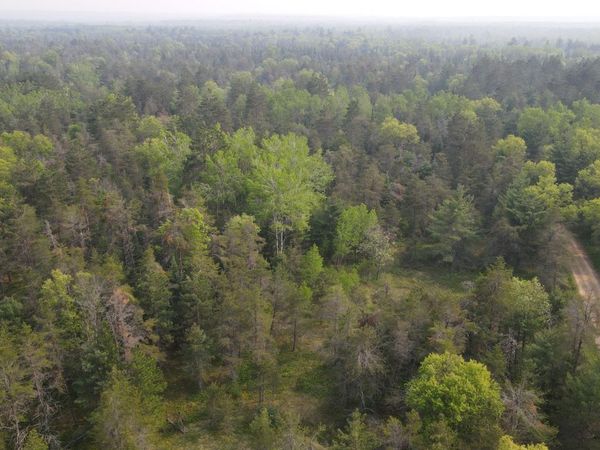 Parcel C Cherry Creek Trail, Grayling, MI 49738