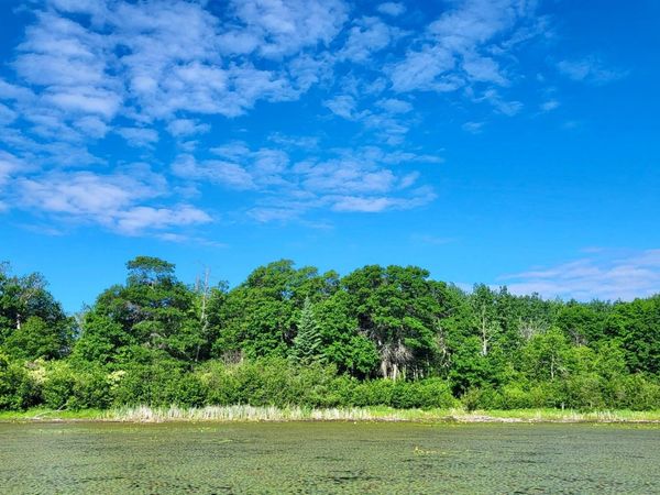 TBD Brush Lake Lane, Park Rapids, MN 56470