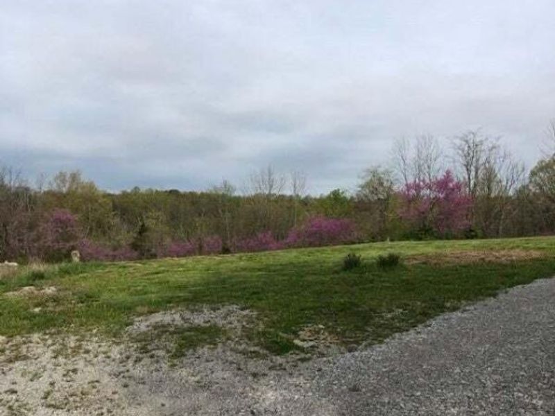 745 Mann Road, Crittenden, KY 41030 Photo 3