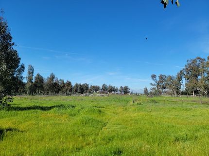 12234 Clay Station Rd, Herald, CA 95638 Photo