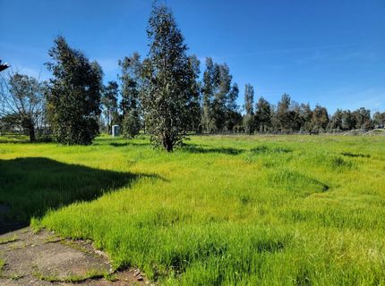 12234 Clay Station Rd, Herald, CA 95638 Photo