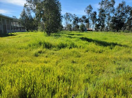 12234 Clay Station Rd, Herald, CA 95638 Photo