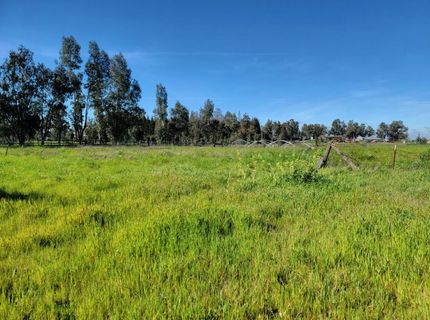 12234 Clay Station Rd, Herald, CA 95638 Photo