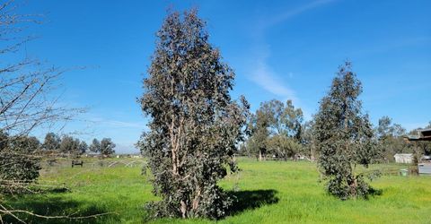 12234 Clay Station Rd, Herald, CA 95638 Photo