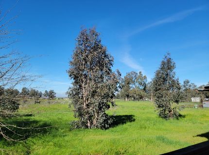 12234 Clay Station Rd, Herald, CA 95638 Photo