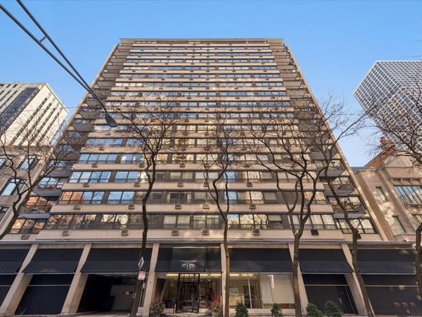 33 E Cedar Street, Unit 16E, Chicago, IL 60611