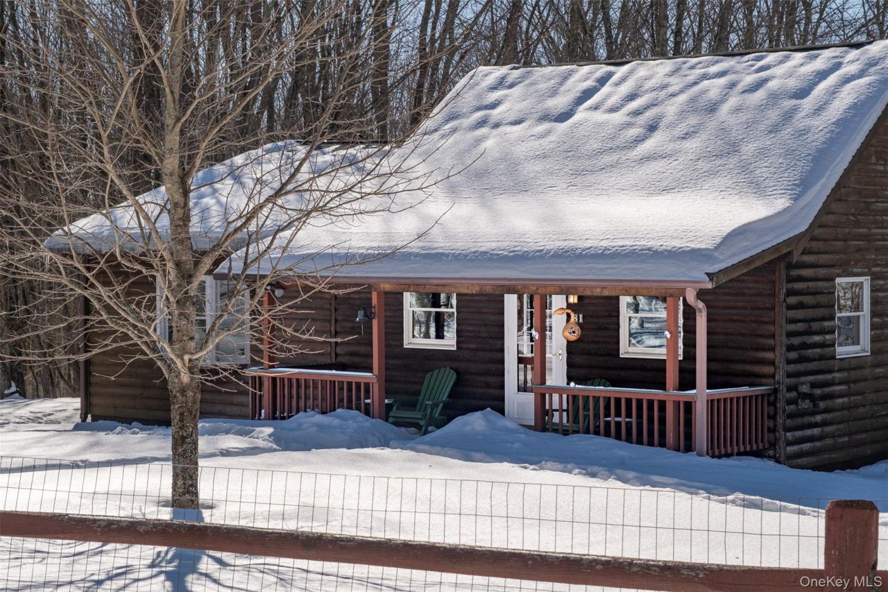 81 Macdougal Road, Roscoe, NY 12776 Main Photo