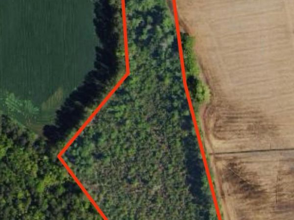 tbd Pinckney Rd. , Nichols, SC 29581