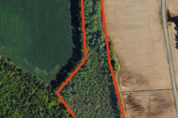 Tbd Pinckney Rd.  photo 4