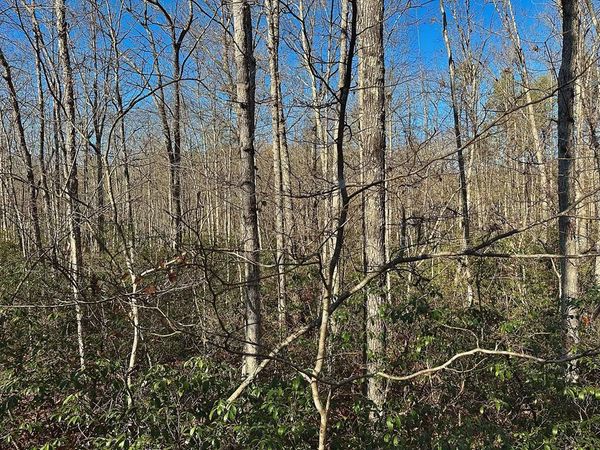 Lot 35 Wilson Ridge Road, Wilder, TN 38589