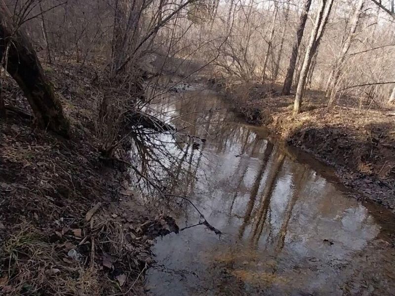 3750 OH-124, Latham, OH 45646 Photo 5