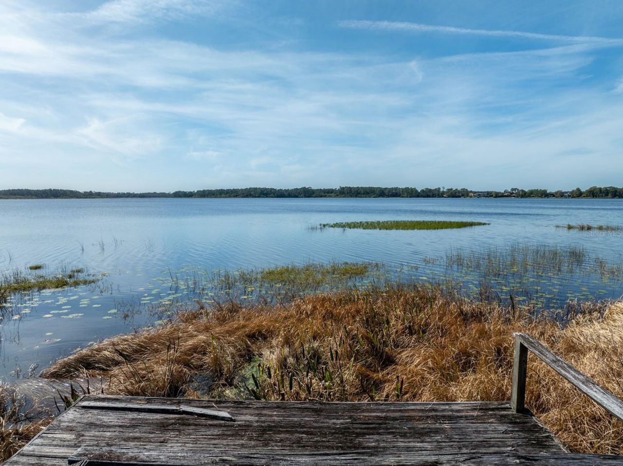 8834 Winter Garden Vineland Road, Orlando, FL 32836 Photo