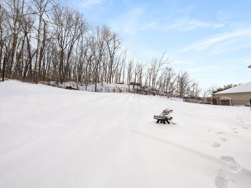 1285 Bluejack Lane, Heath, OH 43056 Photo 48