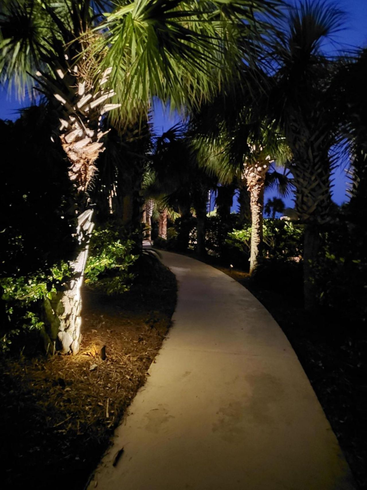 1406 Ocean Club Photo 10