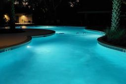 1406 Ocean Club photo 4