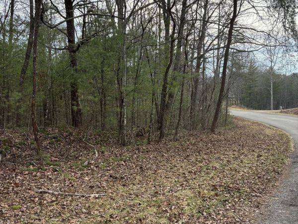 0 Maple Springs Road, Tellico Plains, TN 37385