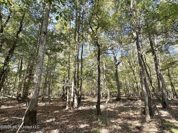 1 Evans Road, Carthage, MS 39051
