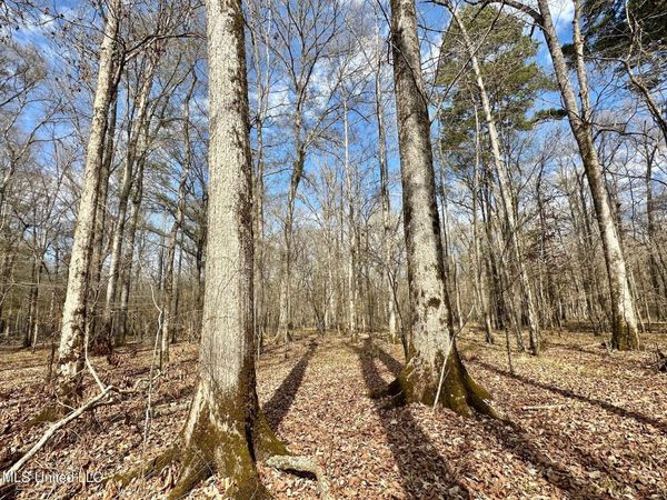 1 Evans Road, Carthage, MS 39051
