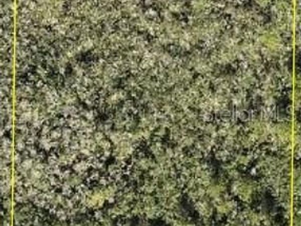 CALVIN LEE, CLERMONT, FL 34711