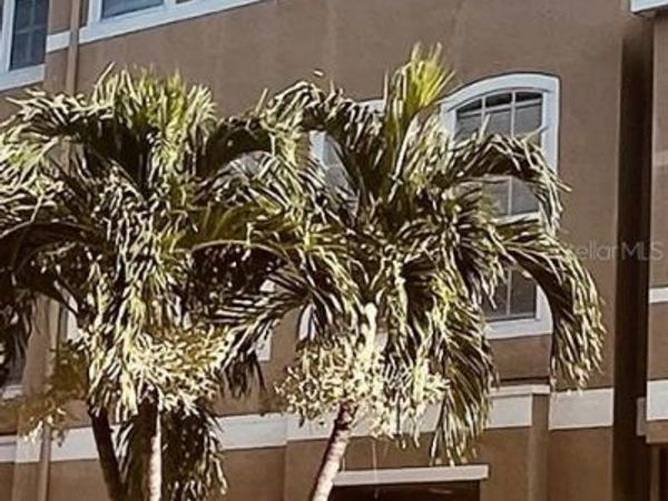 2915 POINTEVIEW, TAMPA, FL 33611