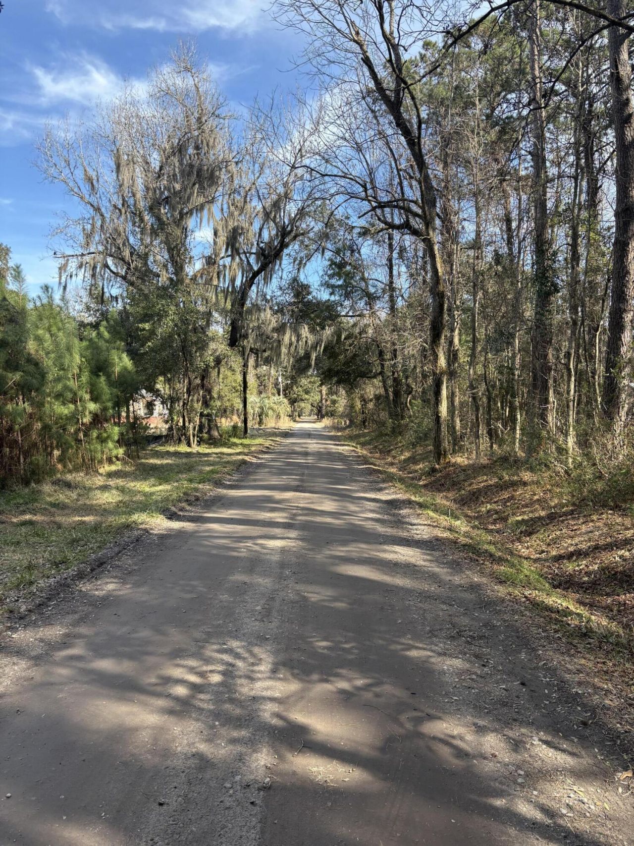 336 Drayton Street Photo 10