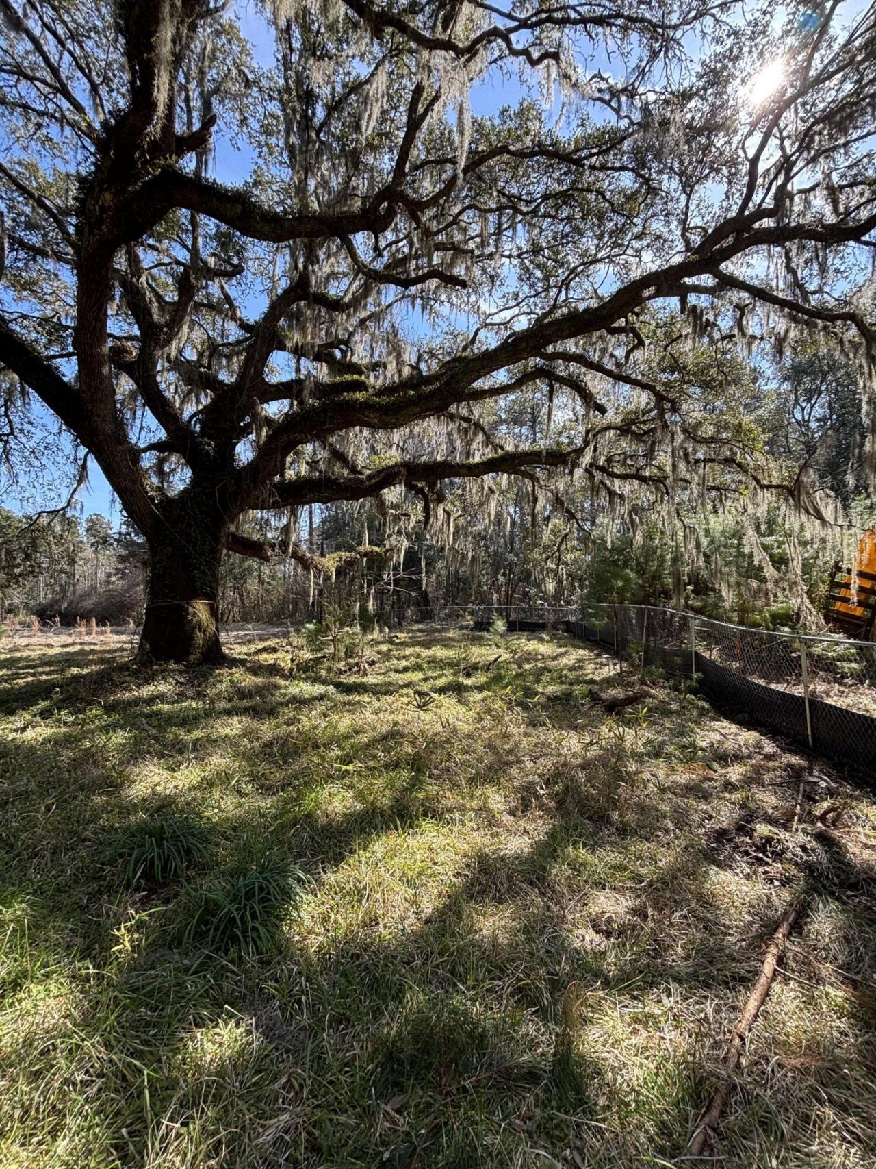 336 Drayton Street Photo 11